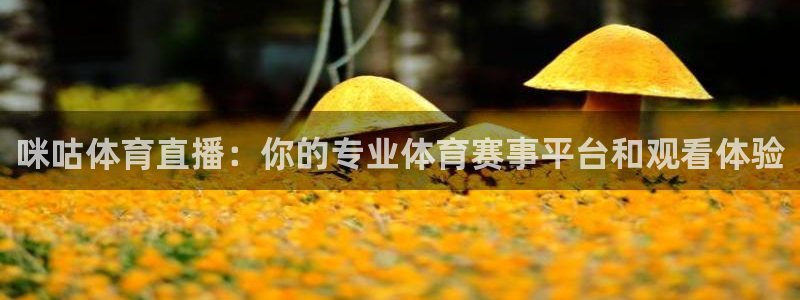 咪咕体育直播：你的专业体育赛事平台和观看体验