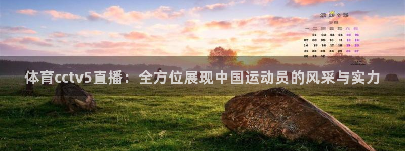 体育cctv5直播：全方位展现中国运动员的风采与实力