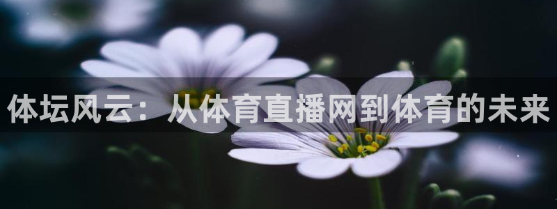 体坛风云：从体育直播网到体育的未来