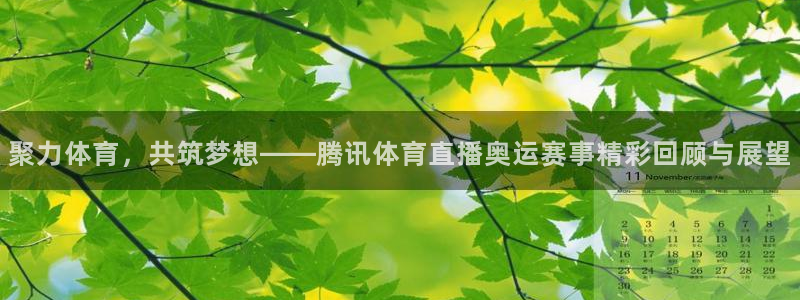 聚力体育，共筑梦想——腾讯体育直播奥运赛事精彩回顾与展望