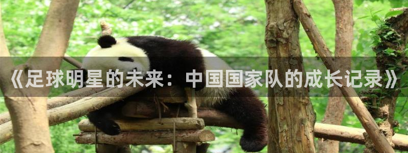 《足球明星的未来：中国国家队的成长记录》