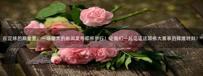 在足球的殿堂里，一场盛大的新闻发布即将举行！让我们一起见证这项伟大赛事的辉煌时刻！