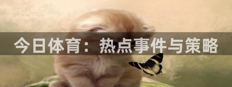 今日体育：热点事件与策略