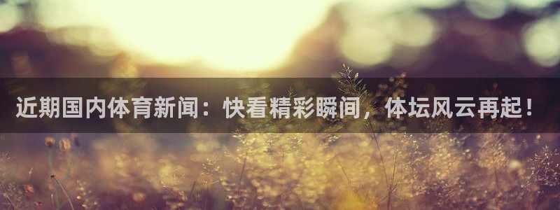 近期国内体育新闻：快看精彩瞬间，体坛风云再起！