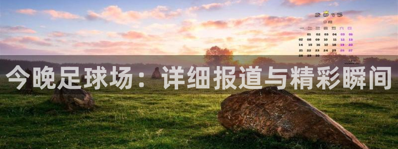 今晚足球场：详细报道与精彩瞬间