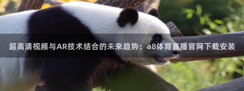超高清视频与AR技术结合的未来趋势：a8体育直播官网下载安装