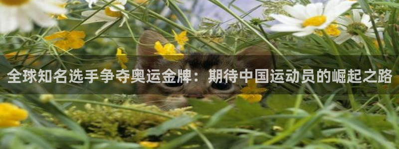 全球知名选手争夺奥运金牌：期待中国运动员的崛起之路