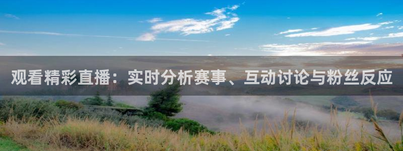 观看精彩直播：实时分析赛事、互动讨论与粉丝反应