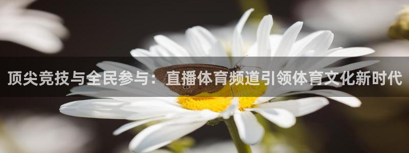 顶尖竞技与全民参与：直播体育频道引领体育文化新时代
