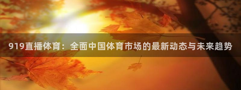 919直播体育：全面中国体育市场的最新动态与未来趋势
