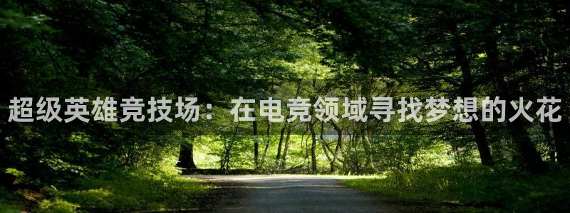 超级英雄竞技场：在电竞领域寻找梦想的火花