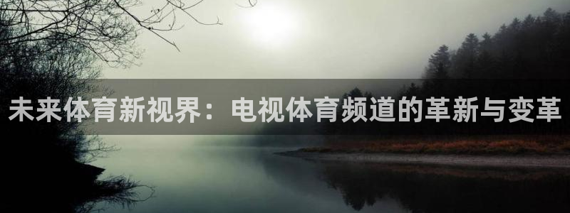 未来体育新视界：电视体育频道的革新与变革