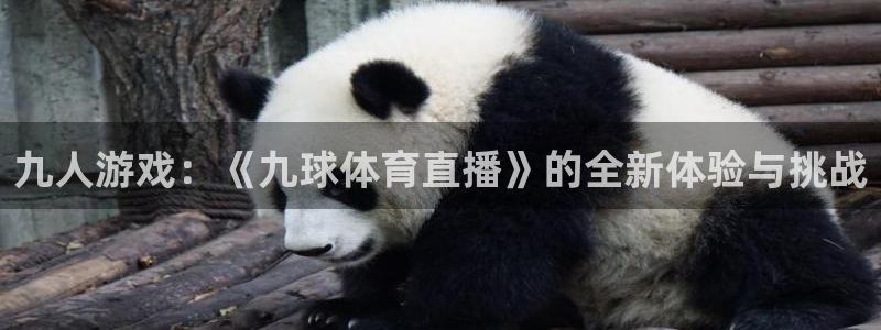九人游戏：《九球体育直播》的全新体验与挑战