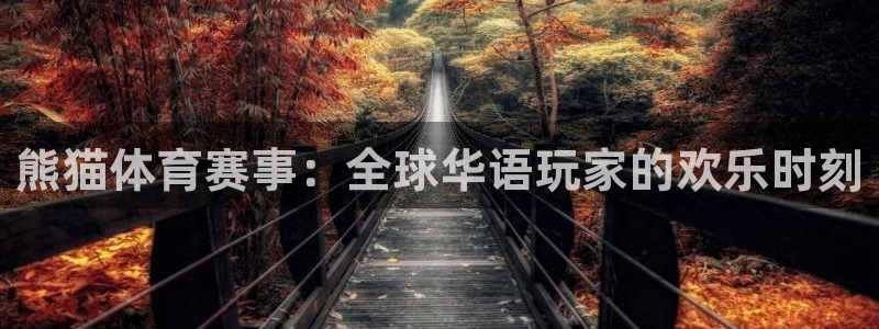 熊猫体育赛事：全球华语玩家的欢乐时刻