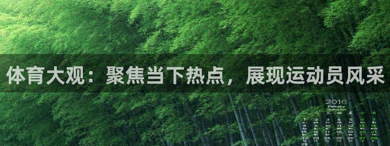 体育大观：聚焦当下热点，展现运动员风采