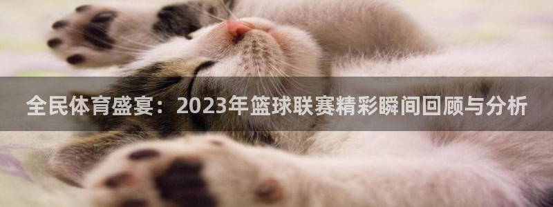 全民体育盛宴：2023年篮球联赛精彩瞬间回顾与分析