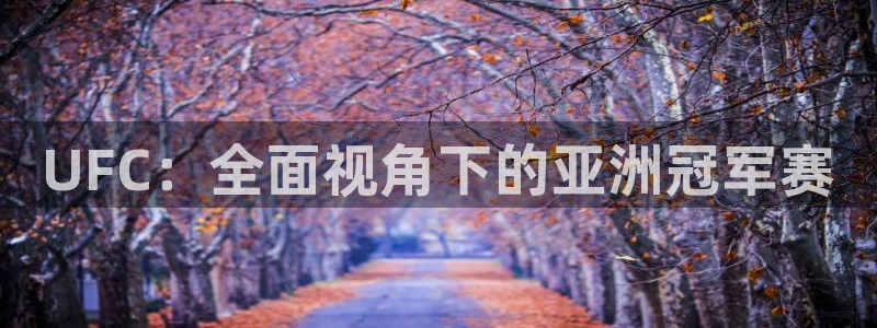 UFC：全面视角下的亚洲冠军赛