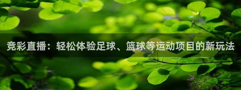竞彩直播：轻松体验足球、篮球等运动项目的新玩法