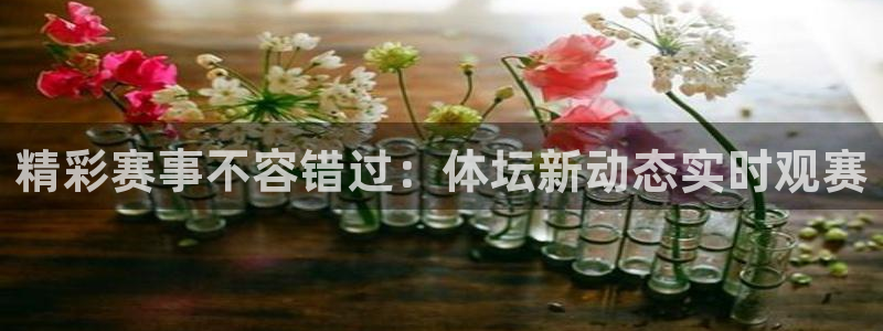 精彩赛事不容错过：体坛新动态实时观赛