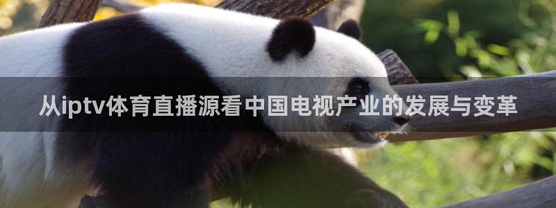 从iptv体育直播源看中国电视产业的发展与变革