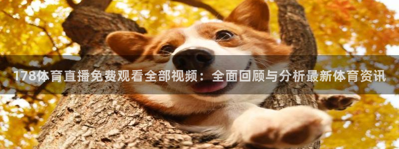 178体育直播免费观看全部视频：全面回顾与分析最新体育资讯