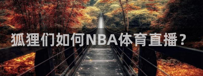 狐狸们如何NBA体育直播？