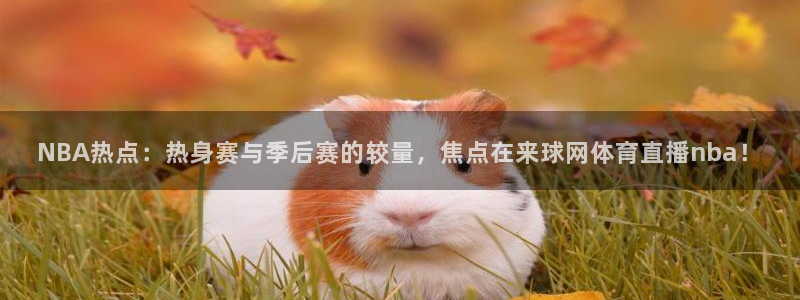 NBA热点：热身赛与季后赛的较量，焦点在来球网体育直播nba！