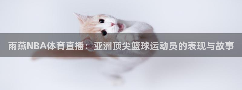雨燕NBA体育直播：亚洲顶尖篮球运动员的表现与故事