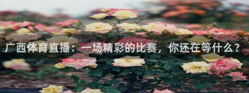 广西体育直播：一场精彩的比赛，你还在等什么？