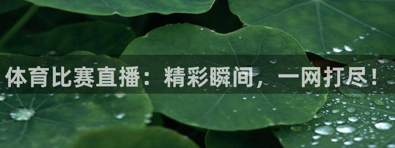 体育比赛直播：精彩瞬间，一网打尽！