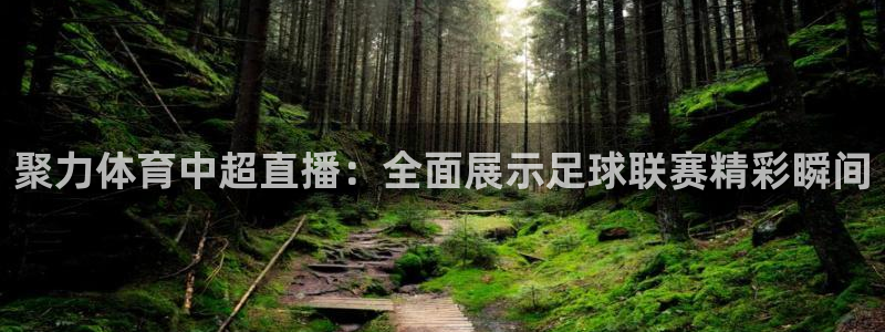 聚力体育中超直播：全面展示足球联赛精彩瞬间