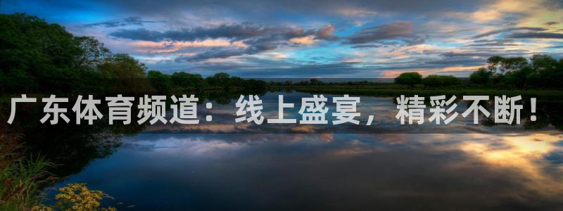 广东体育频道：线上盛宴，精彩不断！