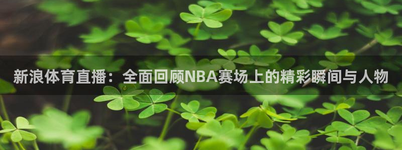 新浪体育直播：全面回顾NBA赛场上的精彩瞬间与人物