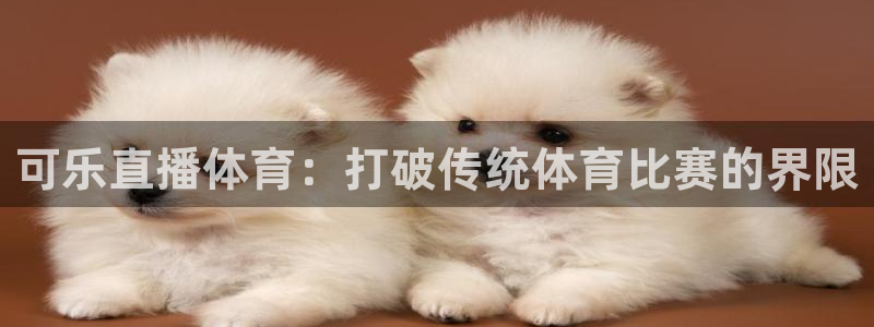 可乐直播体育：打破传统体育比赛的界限