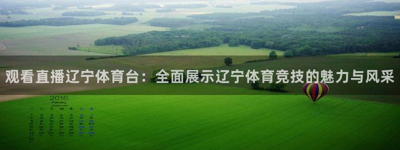 观看直播辽宁体育台：全面展示辽宁体育竞技的魅力与风采
