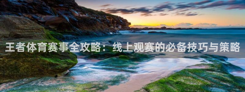 王者体育赛事全攻略：线上观赛的必备技巧与策略