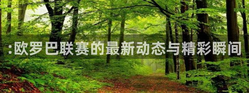 :欧罗巴联赛的最新动态与精彩瞬间