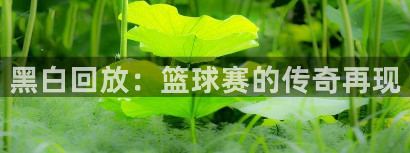 黑白回放：篮球赛的传奇再现