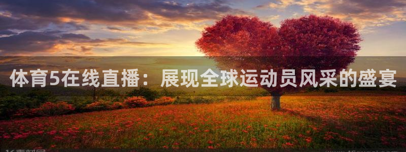 体育5在线直播：展现全球运动员风采的盛宴