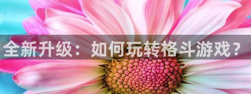 全新升级：如何玩转格斗游戏？
