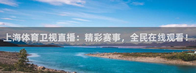 上海体育卫视直播：精彩赛事，全民在线观看！