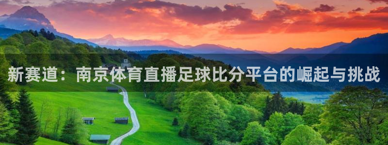 新赛道：南京体育直播足球比分平台的崛起与挑战