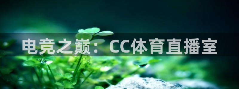 电竞之巅：CC体育直播室
