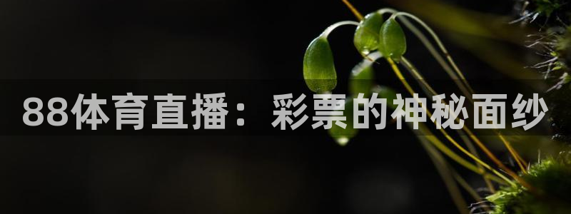 88体育直播：彩票的神秘面纱