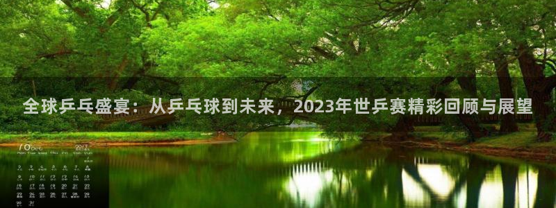 全球乒乓盛宴：从乒乓球到未来，2023年世乒赛精彩回顾与展望