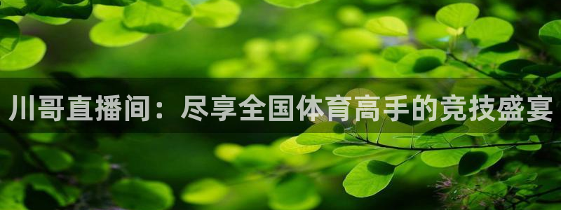 川哥直播间：尽享全国体育高手的竞技盛宴