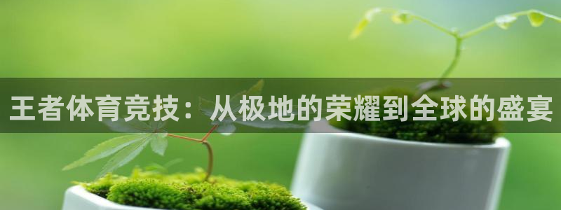 王者体育竞技：从极地的荣耀到全球的盛宴