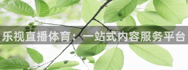 乐视直播体育：一站式内容服务平台