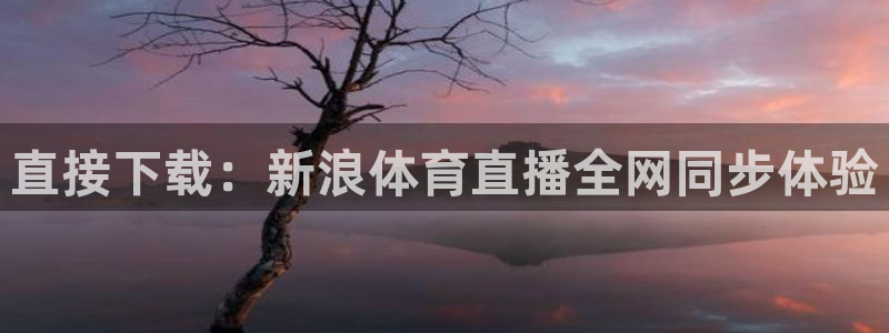 直接下载：新浪体育直播全网同步体验