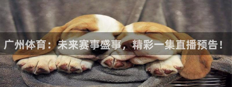广州体育：未来赛事盛事，精彩一集直播预告！